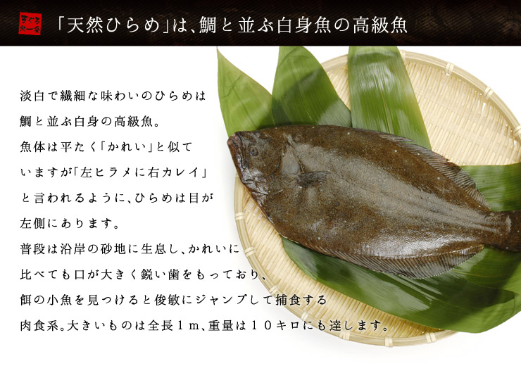 国産 ヒラメのえんがわ 100g 天然ひらめの縁側 [ひらめエンガワ]