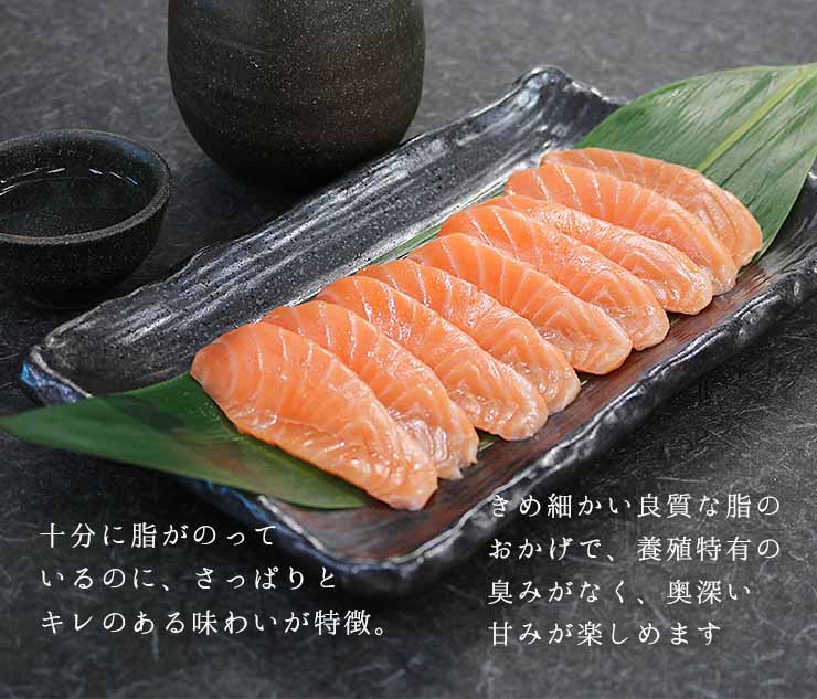 サーモン お刺身 スライス 80g(8g×10切入) [サーモンスライス]