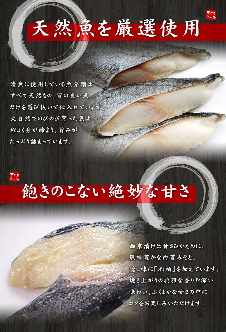 訳ありさわら 西京漬け 500g(4～5人前) [訳ありサワラ西京漬500g]超速（ちょうそく）発送 1-3営業日以内に発送予定 土日祝除く