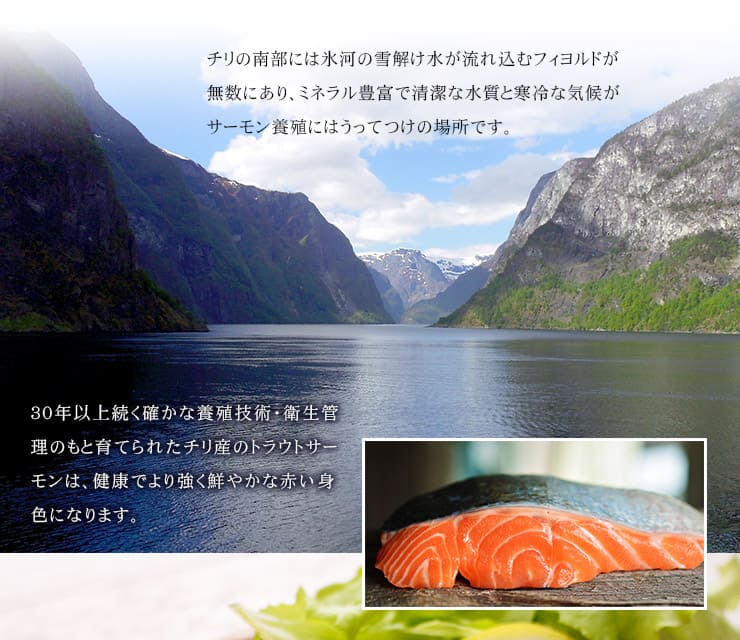 スモークサーモン 40g×20パック トラウトサーモン使用 [スモークサーモン40g-20p]