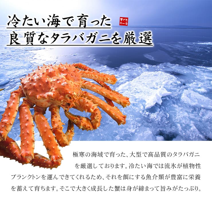 ボイルタラバガニ 1kg（ハーフポーション） カット済み 殻剥き不要 [タラバ蟹ハーフポーション1kg]