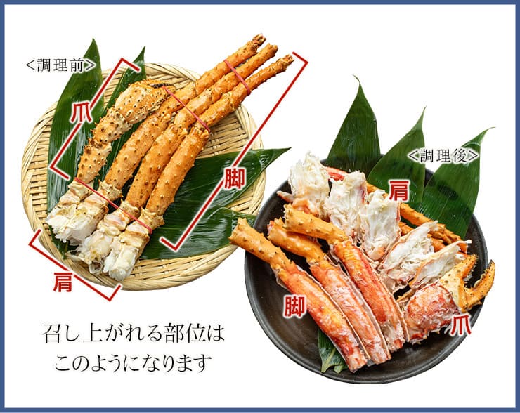 ゴールデンキングクラブ 800g ボイル済み 1肩 [ゴールデンキングクラブ800g]超速（ちょうそく）発送 1-3営業日以内に発送予定 土日祝除く