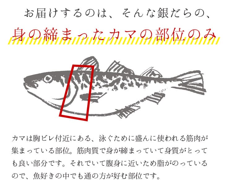 銀だらカマ 800g(3～5個入) [銀だらカマ800g]