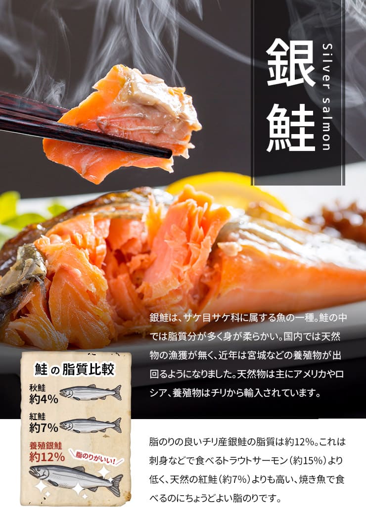 訳あり 銀鮭切り身 1.2kg (有塩･甘口) 20切前後 加熱用 チリ産 チャック袋入り シミ・身割れの切り身 [有塩_B級銀鮭切り身1.2kg]