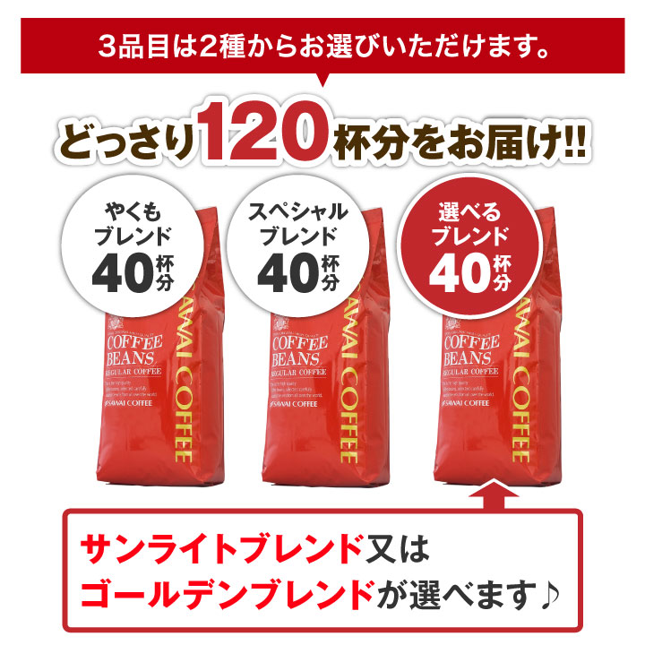 澤井珈琲 人気のコーヒーセット 選べる極上のコーヒー福袋 やくも スペシャル サンライト ゴールデン サンライトブレンド 中挽き