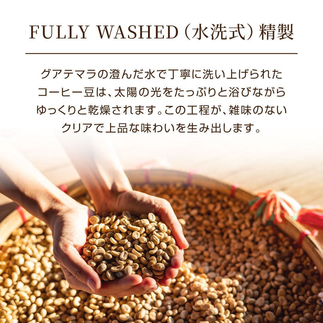 澤井珈琲 香り良くすっと飲める グアテマラ サステナブルコーヒー 200g×2袋 豆のまま