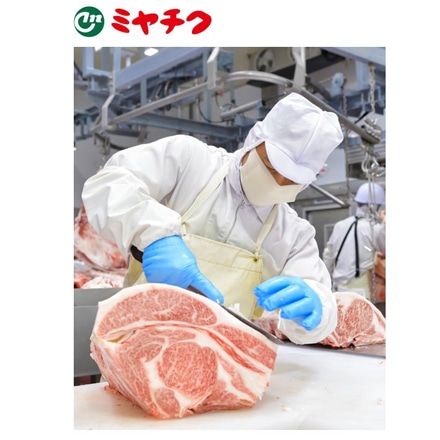 ミヤチク 宮崎牛 焼肉用 モモ 480g