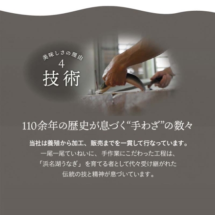 浜名湖うなぎ蒲焼ハーフカット3袋