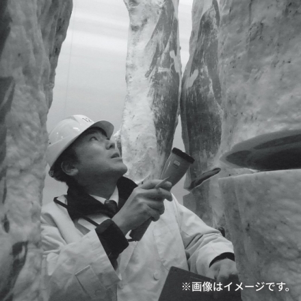 冷凍 米沢牛サーロインステーキ 360ｇ（2枚）、牛脂付