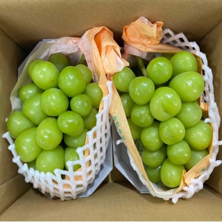 シャインマスカット 2房（1.1ｋｇ）