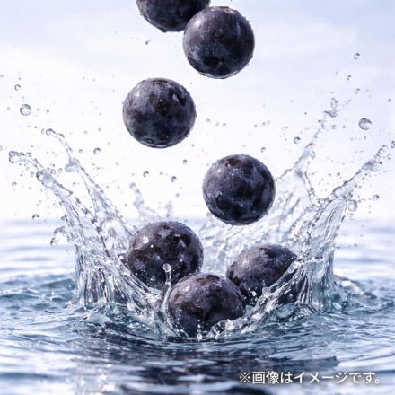 シャインマスカットとナガノパープル2.5ｋｇ