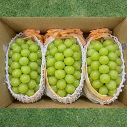 シャインマスカット3房（1.6ｋｇ）