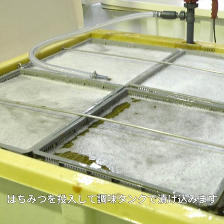紅梅園 まろやかはちみつ南高梅 2箱