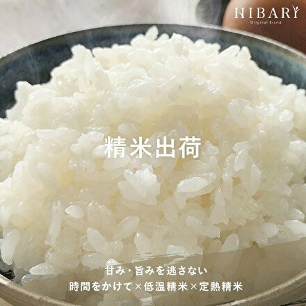 新潟県産こしひかり HIBARI 5kg 令和5年産