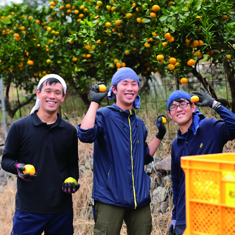 伊藤農園 和歌山 柑橘ジュース 4種計10本