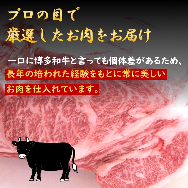 うまかもん 博多和牛 A4～A5 焼肉セット 500g