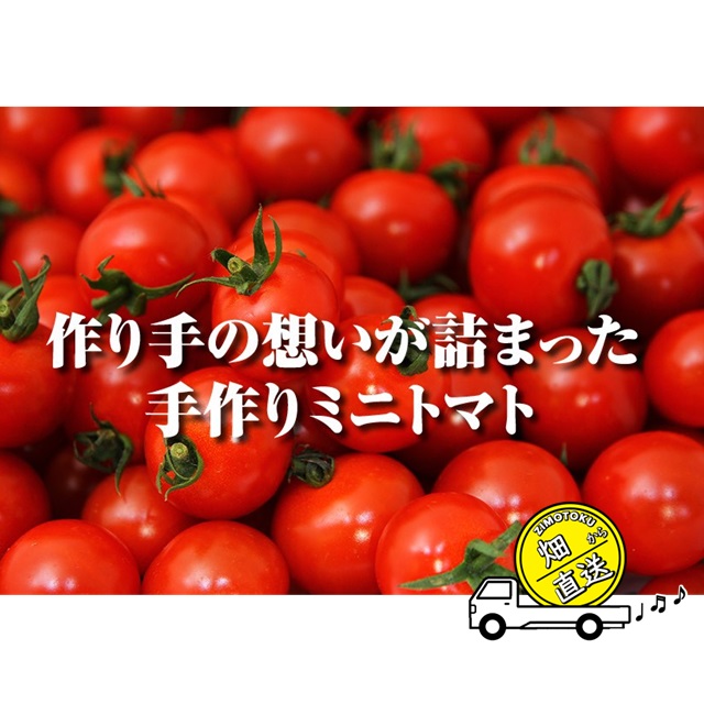 産直！ 高濃度フルーツトマト ソムリエミニトマト プラチナ 箱込み約2kg