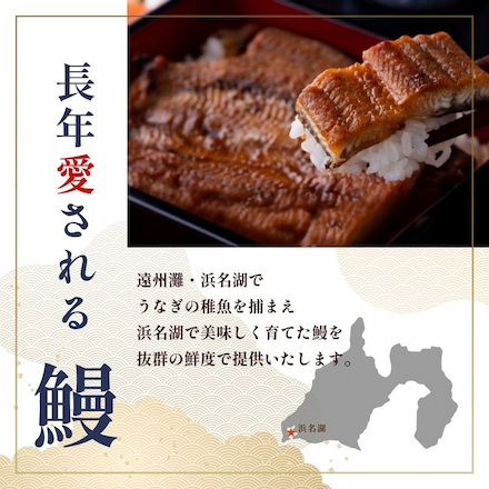 浜名湖 うなぎ 真空長白焼(大)2枚入り