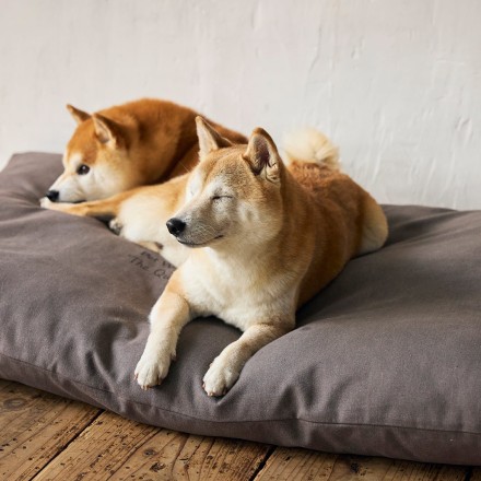 コージーベッド チャコール