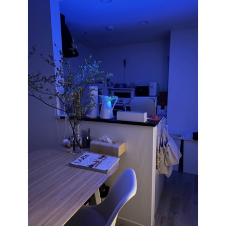 新感覚 Lovaroma フ レームナイトディフューザー マットホワイト