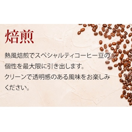 スペシャルティコーヒー豆焙煎度違い3種セット 600g 200g×3種 粉