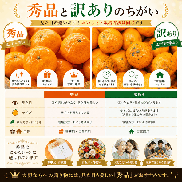 【2026年11月下旬頃出荷】愛媛限定栽培品種 まどんな 秀品2kg