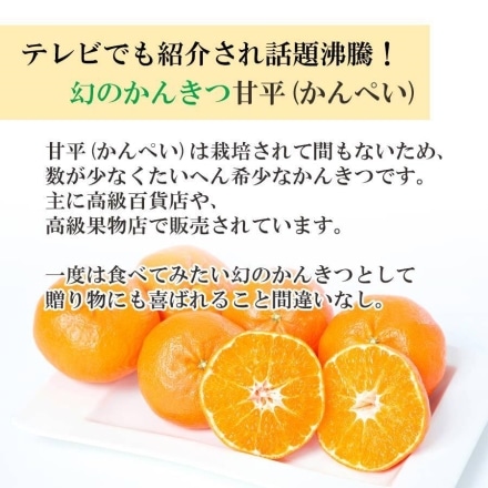 【2025年2月上旬頃より出荷予定】訳あり 愛媛産 甘平 2kg