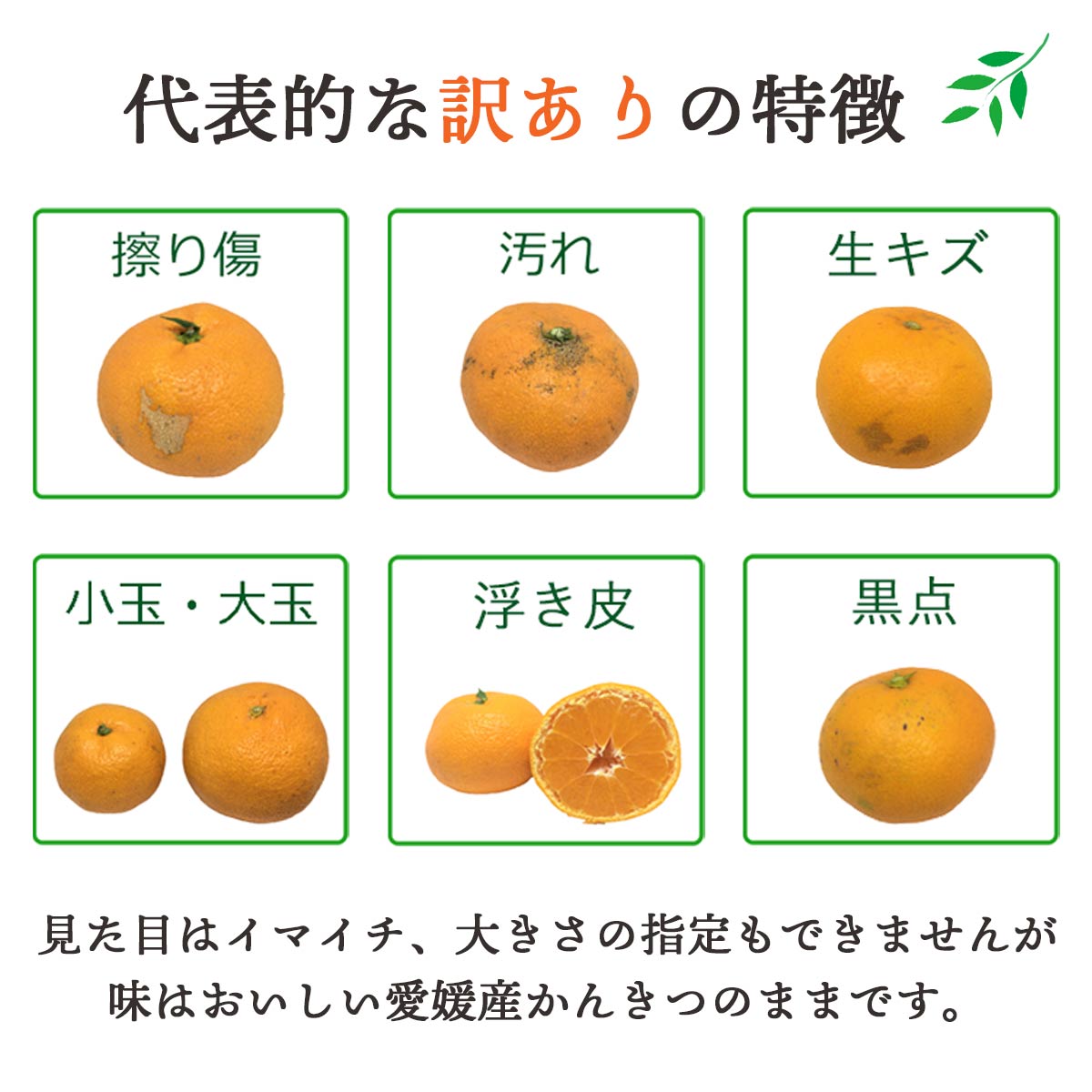 訳あり 愛媛産 不知火 しらぬい 4kg