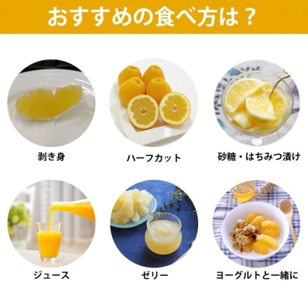 愛媛産 河内晩柑 秀品 7.5kg