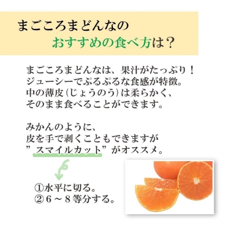 【11月下旬頃より順次出荷】愛媛限定栽培品種 まどんな 贈答箱入り2kg（6個～8個）