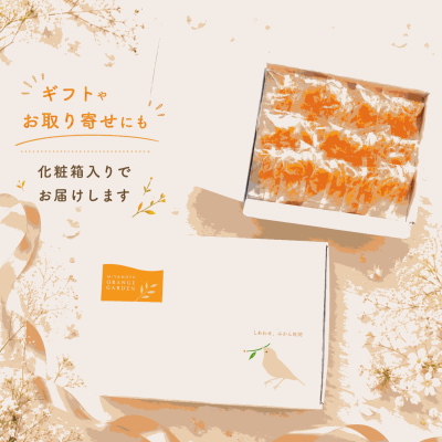 むき冷凍みかん 小分けタイプ30g×15袋