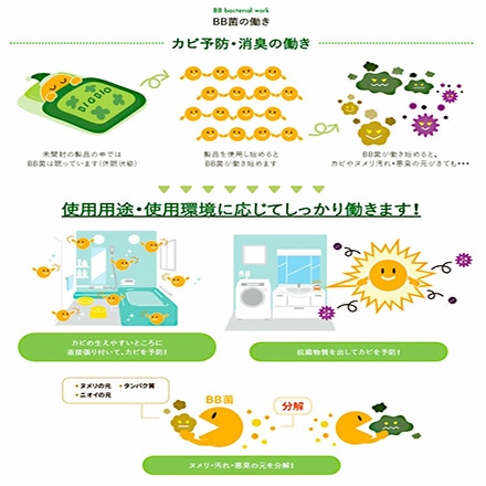 カビ予防剤 バイオの職人 エアコン用 2個セット