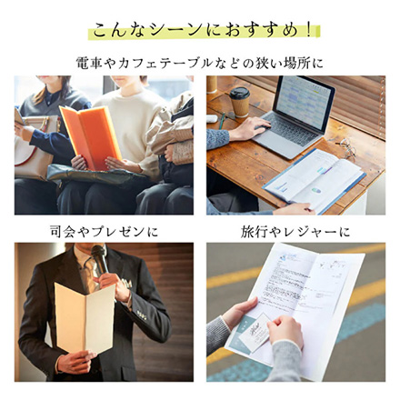 キングジム クリアーファイル ホッソ 15ポケット オレンジ FDC
