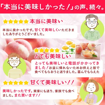 訳あり 福島県産 桃 約 4.7kg 東北ECグローバル