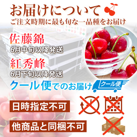 山形県産 さくらんぼ 佐藤錦 紅秀峰 秀品 表面並べ詰め 500g 東北ECグローバル