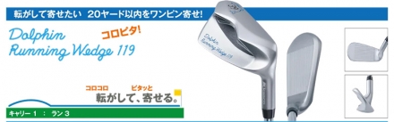 キャスコ ドルフィン DRW-119 DPW-119 DFW-119 ウェッジ Dolphin DP-201 カーボンシャフト DFW-119/55度/33インチ