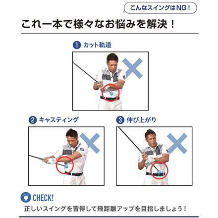 リンクス ゴルフ ダワ筋スティック スタンダードタイプ スイング練習機 ターコイズ×グレー Lynx DAWAKIN STICK STANDARD ターコイズ×グレー