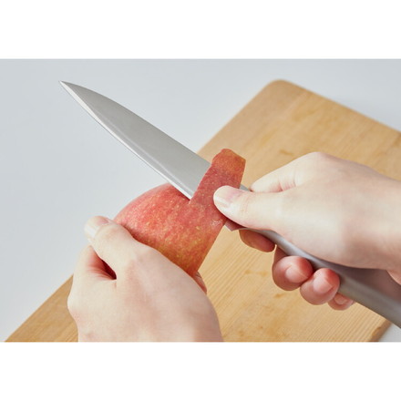 プログレード 日本製 燕三条 ペティナイフ 12.5cm 食洗機対応 オールステンレス 鋭い切れ味 モリブデンバナジウム鋼使用 ナイフ キッチンナイフ 果物ナイフ 包丁 刃物
