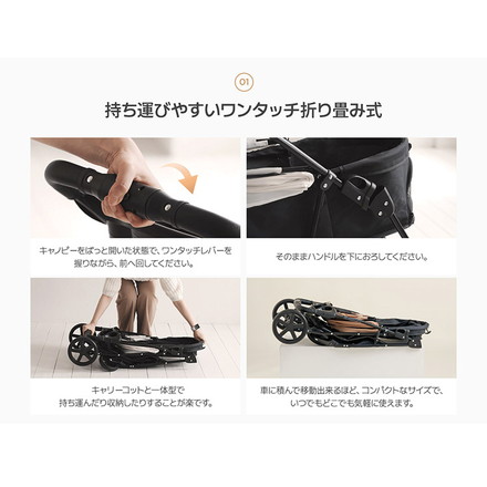 roomnhome EASY ペットカート フォールディング プチ 折りたたみ ペットキャリー 多頭 犬カート 小型犬 中型犬 ペット用 カート おでかけ 散歩 犬 いぬ イヌ ドッグ 猫 ねこ ネコ キャット ベージュ