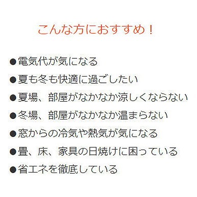 ビニールカーテン 断熱 防寒 冷気を防ぐ 透明 冷気遮断 省エネ 抗菌 防カビ UVカット 100×200cm ホワイト