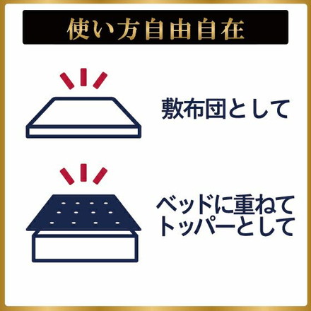 ハードタイプ スリープマジック ゼログラビティ6.0 シングル セミダブル ダブル ライズ RISE セミダブル