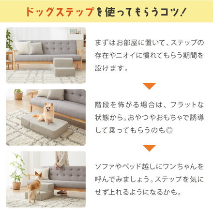 ドッグステップ 2段 階段 PUレザー 撥水 滑り止め 幅40cm アイボリー