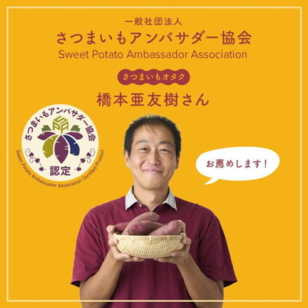 焼き芋メーカー BakeFree WFB-122 自宅で簡単! 本格 焼き芋クッカー タイマー&温度調節機能付き 焼き芋器 焼きいもメーカー 焼き芋 焼きいも 家庭用 ロースター 石焼き芋 ドウシシャ