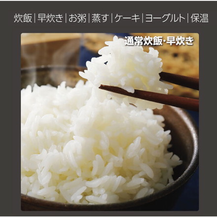 炊飯器 4合炊飯器 多機能調理炊飯器 RM-218TE 2色 ブラック ホワイト ROOMMATE ホワイト