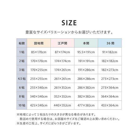 い草カーペット 440×352cm 柳川(やながわ) 江戸間10畳 双目織 い草上敷き畳カバー 上敷き い草 マット 抗菌 防臭 騒音抑制 軽量