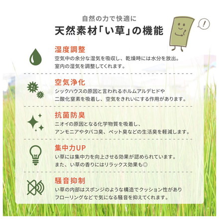 4つ折り い草の畳マットレス ダブル 布団の下に敷く畳 い草マットレス 置き畳 縁あり ごろ寝マット ユニット畳