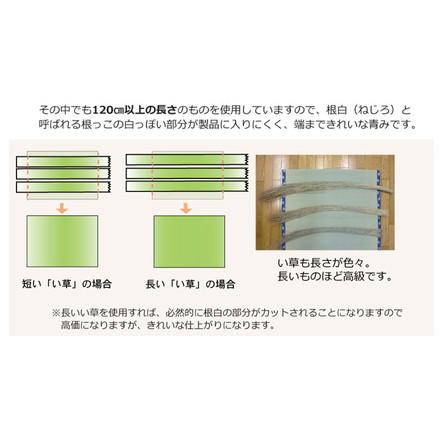 純国産 糸引織 い草上敷 『梅花』 江戸間2畳（約176×176cm）