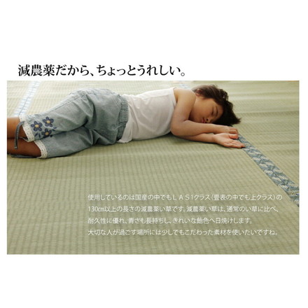 日本製 ラグ 敷き詰めタイプ 純国産 減農薬栽培 い草 上敷き カーペット 糸引織 『西陣』 江戸間4.5畳(約261×261cm)