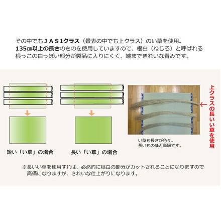 日本製 ラグ カーペット い草上敷 敷き詰めタイプ 純国産 い草 上敷き カーペット 麻綿織 『清正』 本間3畳(約191×286cm)