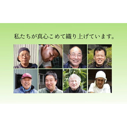 純国産 い草ラグカーペット 『Fバリアス』 ブラウン 約191×191cm(裏:ウレタン)